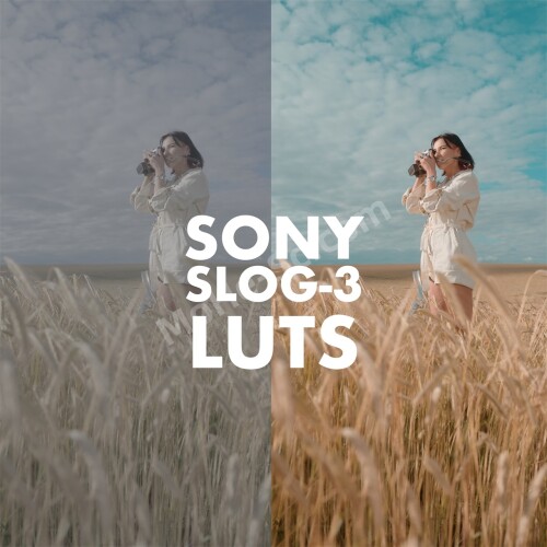 21Sony-Slog-3LUTs-Alexandru-Don--SONY-SLOG-3-LUTS--SKINTONE-EDITION-1.jpg