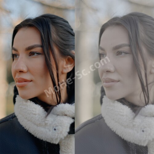 21Sony-Slog-3LUTs-Alexandru-Don--SONY-SLOG-3-LUTS--SKINTONE-EDITION-2.jpg