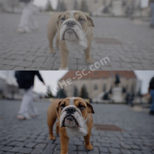 21Sony-Slog-3LUTs-Alexandru-Don--SONY-SLOG-3-LUTS--SKINTONE-EDITION-6.jpg