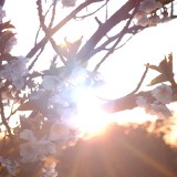 10009.image_processing20210603-3-12x6j75