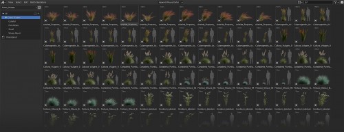 10001.AB_Grass.jpg