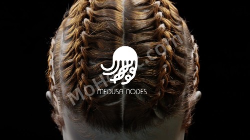 10001.medusa nodes hero 001