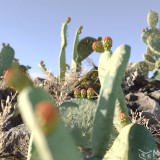Apache_Desert_Pack_preview_05