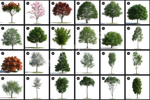 Evermotion--Archmodels-for-Corona-vol.1-1003D--.MAX--1.jpg