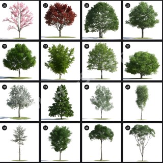 Evermotion--Archmodels-for-Corona-vol.1-1003D--.MAX--1