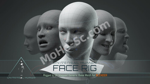 Blender-Universal-Human-Body--Face-Rig-v3.1.0-For-Blender-2.79--0.jpg