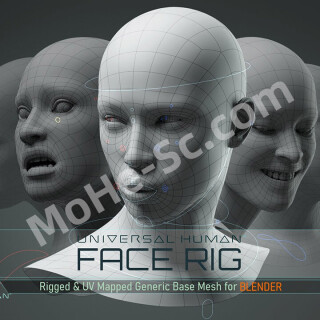 Blender-Universal-Human-Body--Face-Rig-v3.1.0-For-Blender-2.79--0