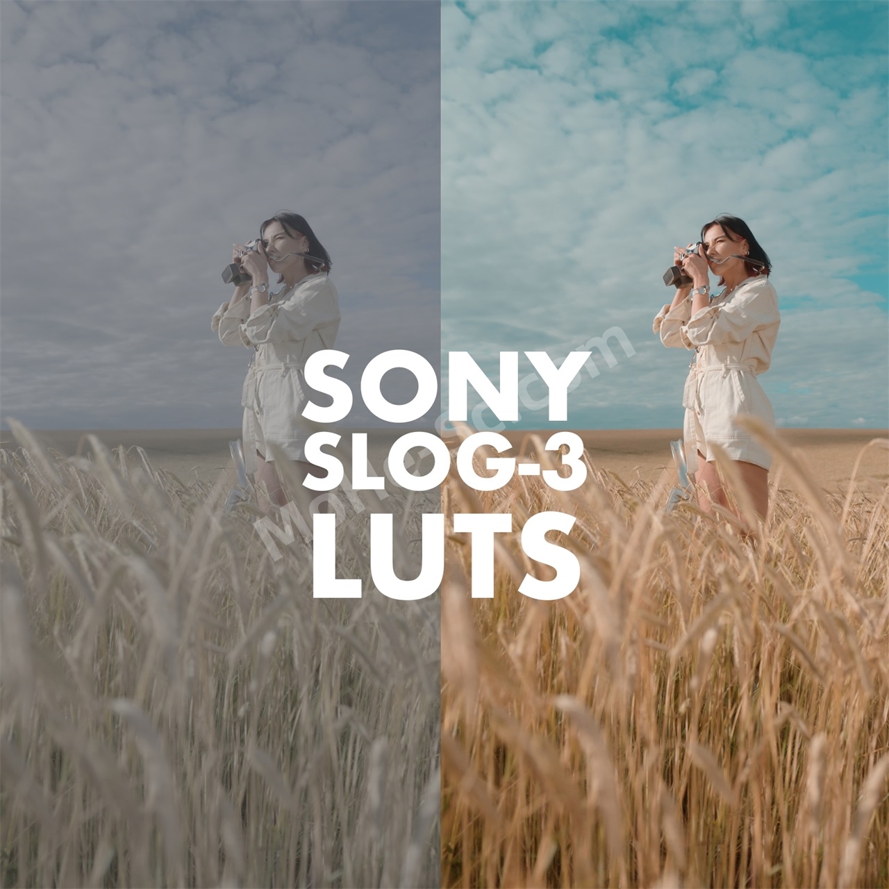图片[2]-21款Sony Slog 3电影风格还原人物肤色LUTs视频调色预设 Alexandru Don – SONY SLOG 3 LUTS – SKINTONE EDITION
