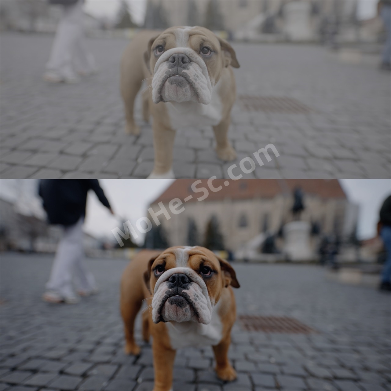 图片[7]-21款Sony Slog 3电影风格还原人物肤色LUTs视频调色预设 Alexandru Don – SONY SLOG 3 LUTS – SKINTONE EDITION